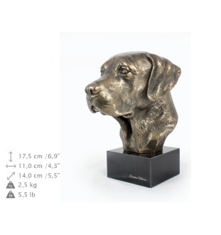 Labrador Retriever głowa na kamieniu Art-Dog